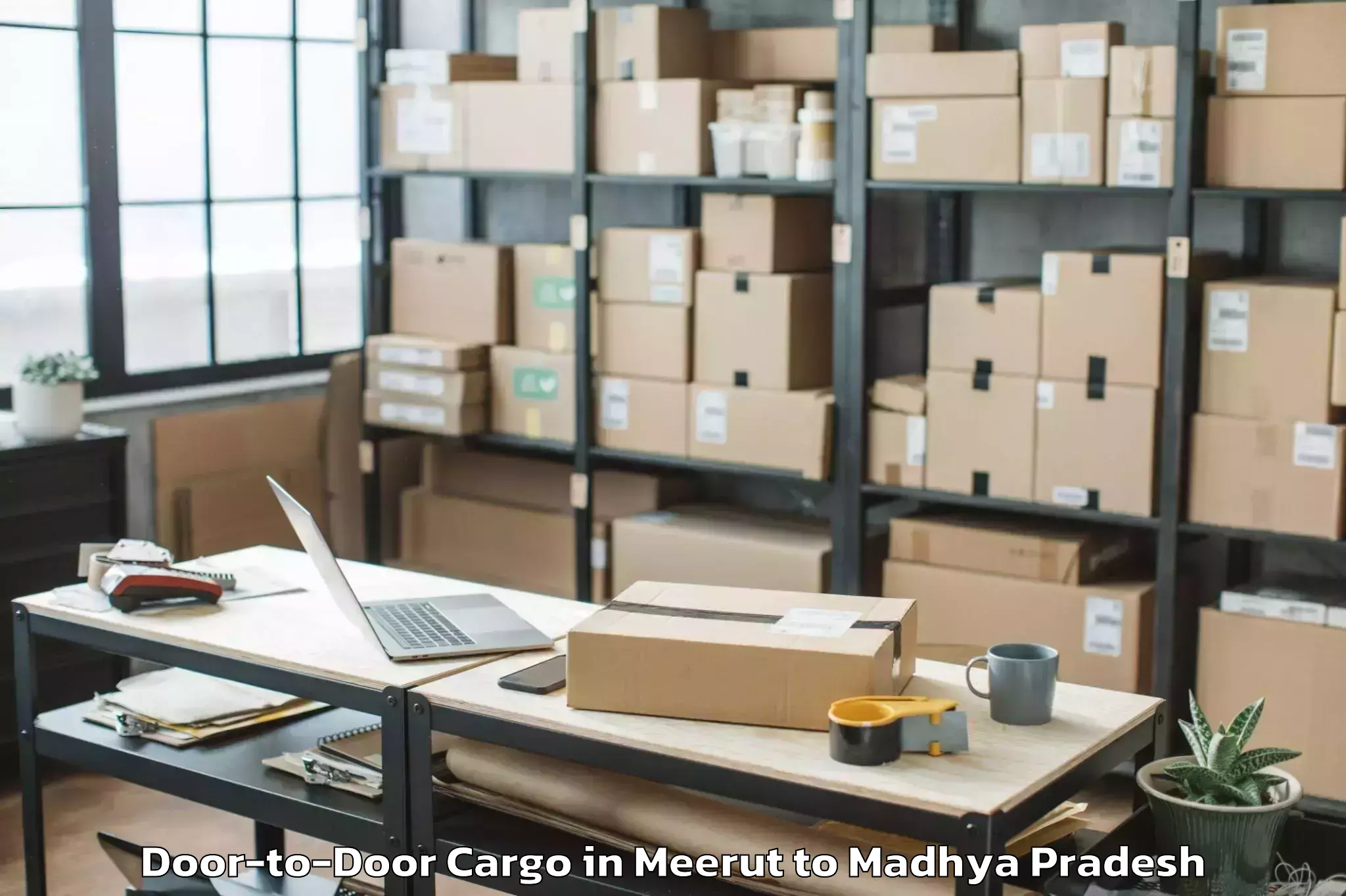 Meerut to Tekanpur Door To Door Cargo Booking